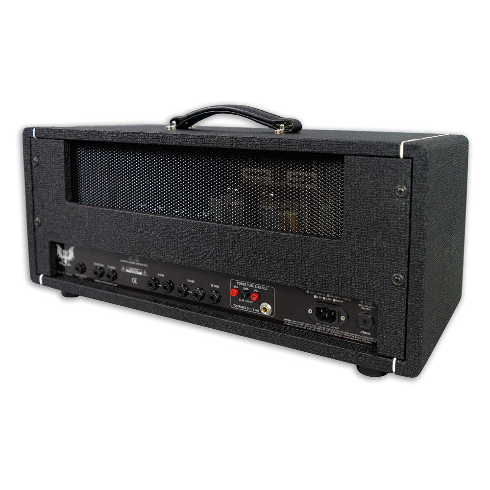 3rd Power Dragon 45 Amp Head – Bananas At Large Inc.® Musical