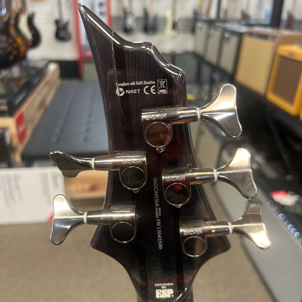 ESP LTD F-415FM 5-String Bass w/ Case (Pre-Owned)