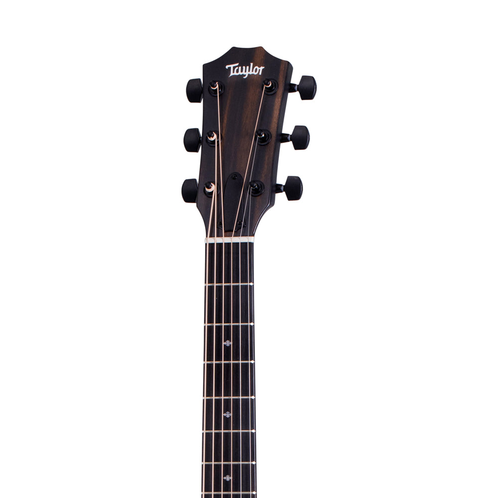 Taylor 214ce Deluxe Limited Edition - Transparent Grey