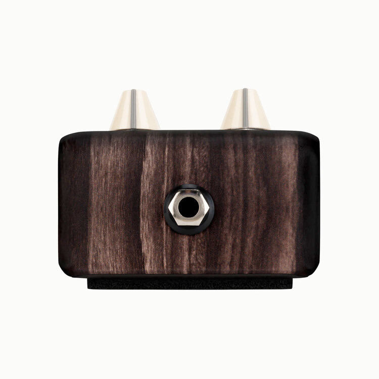 LR Baggs Align Series Delay Acoustic Guitar Delay Pedal
