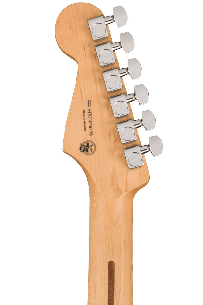 Fender 30th Anniversary Screamadelica Stratocaster®, Pau Ferro Fingerboard - Custom Graphic