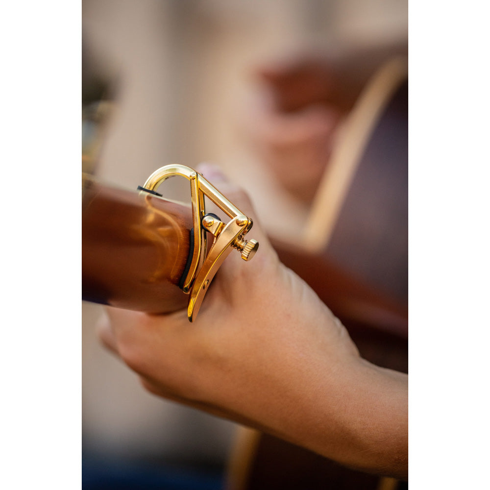 Shubb C1g Royale Steel String Capo - Gold - Bananas at Large®