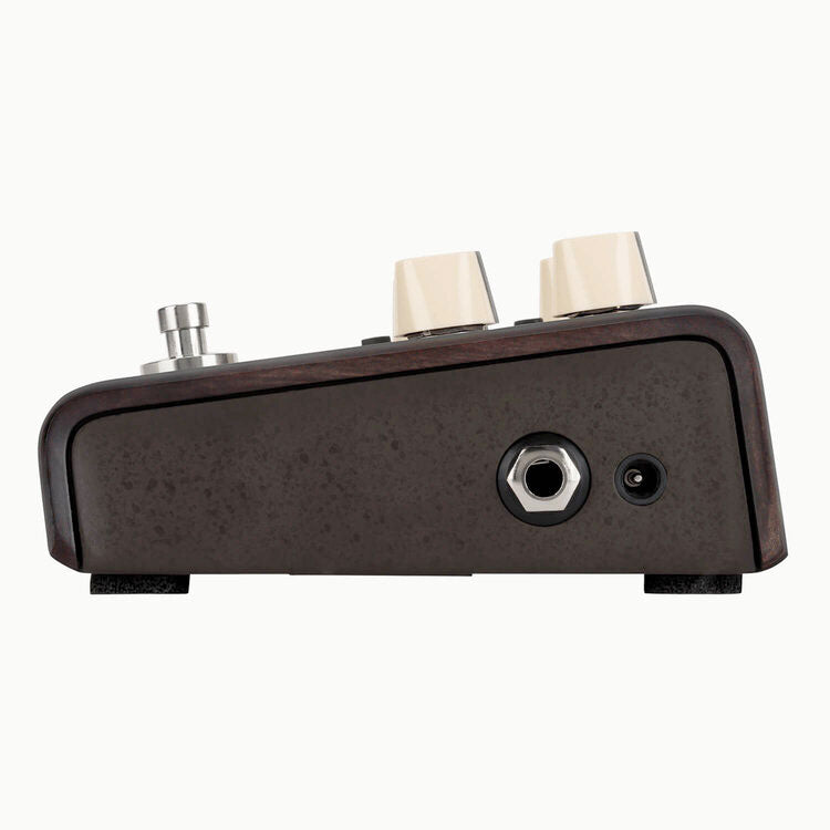 LR Baggs Align Series Delay Acoustic Guitar Delay Pedal