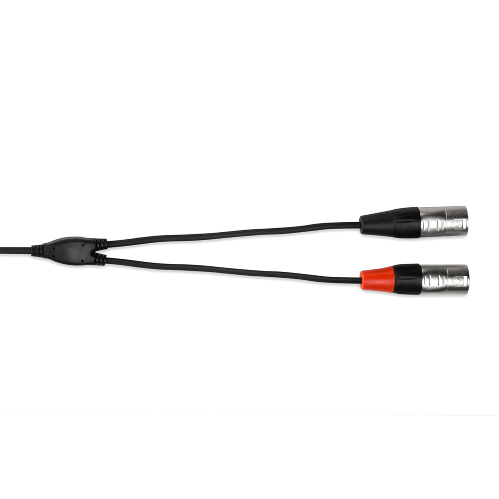 Hosa Pro Stereo Breakout REAN 3.5 mm TRS to Dual XLR3M, 3ft