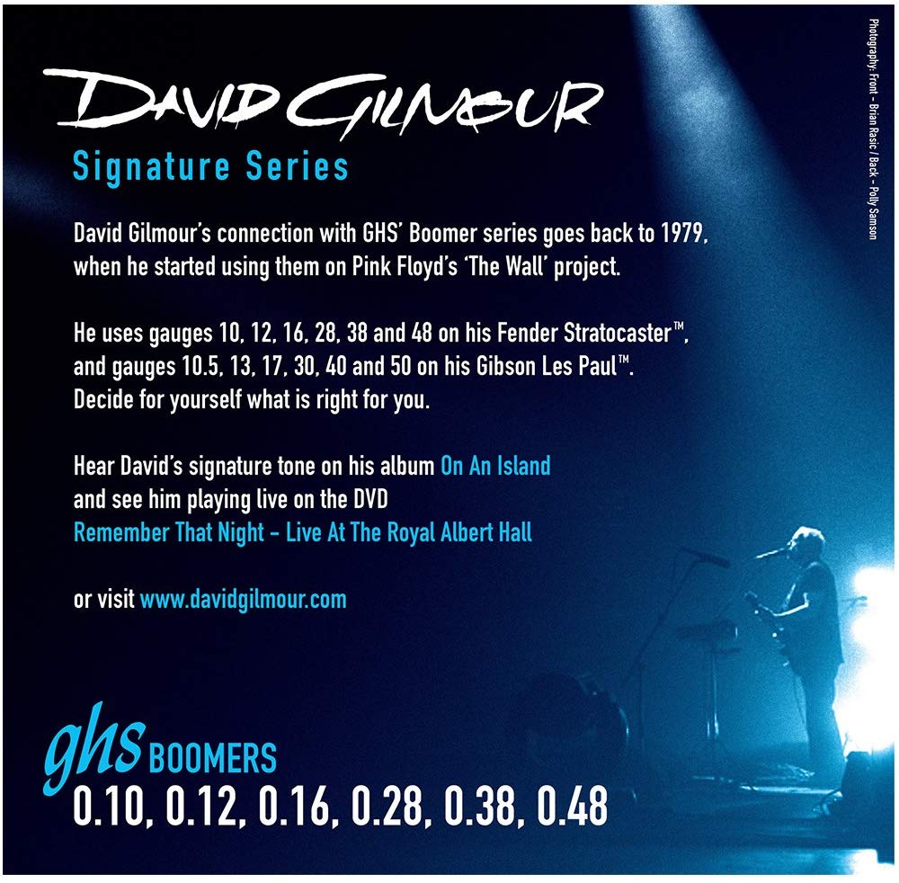 GHS Boomers GB-DGF David Gilmour Signature Electric Guitar String Set, Blue (.010-.048) - Bananas at Large®