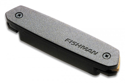 Fishman PRO-NEO-D02 Neo-D Humbucking Acoustic Pickup - Bananas at Large