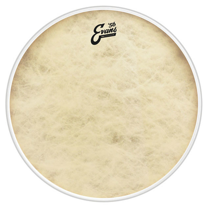 Evans BD20GB4CT 20 in. EQ4 Calftone Bass Drum Head - Bananas At Large®