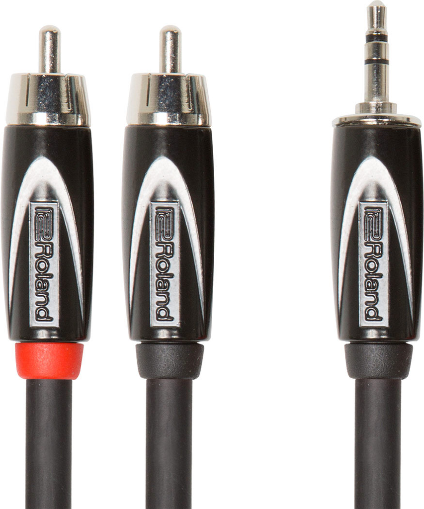 Roland RCC-10-352R Black Series 10ft Interconnect Cable with 1/8 in. TRS to Dual RCA Connectors - Bananas at Large