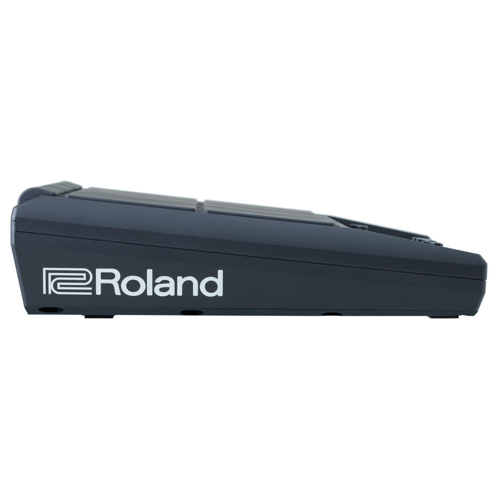 Roland SPD-SX-PRO Sampling Pad - Bananas at Large®