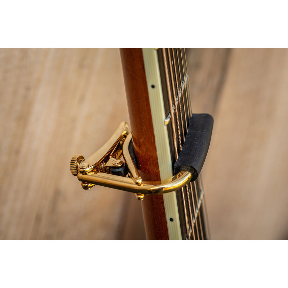 Shubb C1g Royale Steel String Capo - Gold - Bananas at Large®