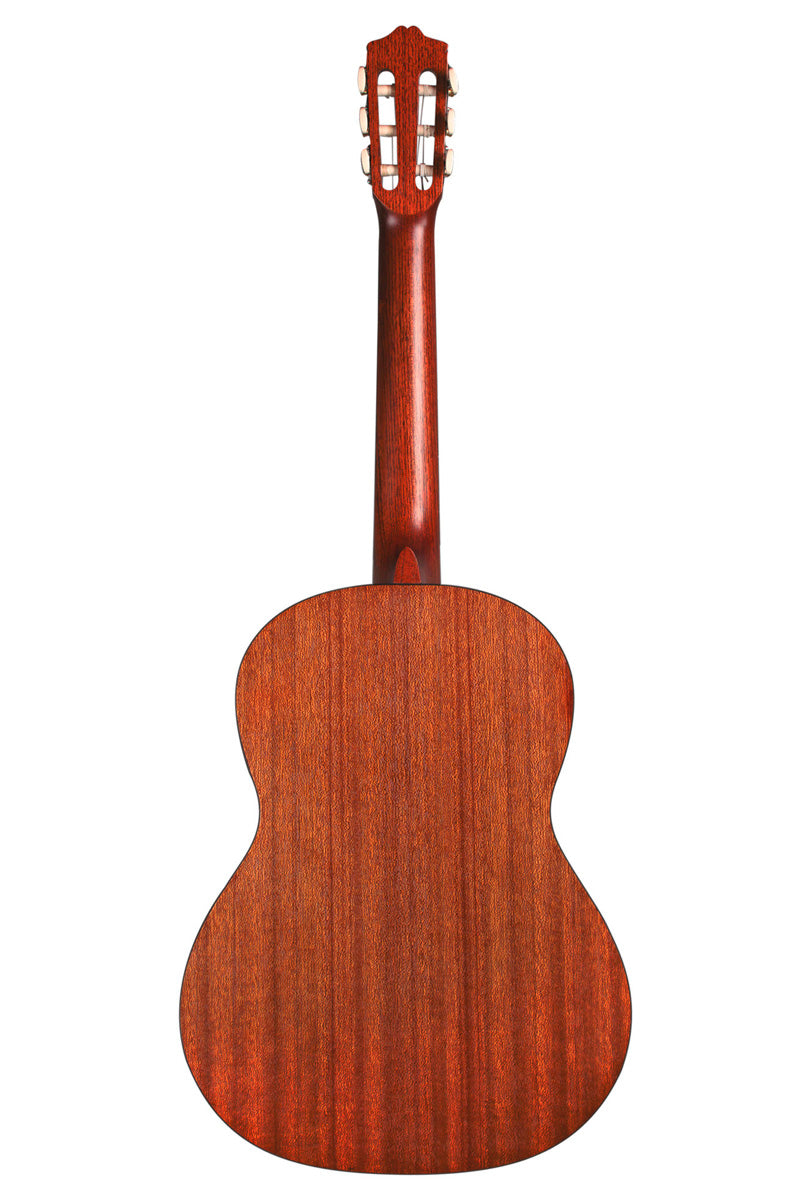 Cordoba Protege CP100 Acoustic Classical Guitar (Pack)
