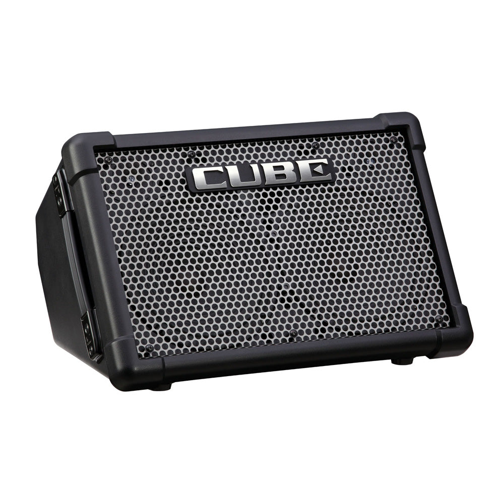 Roland CUBE Street EX Battery & AC Powered Amplifier - Bananas at Large®
