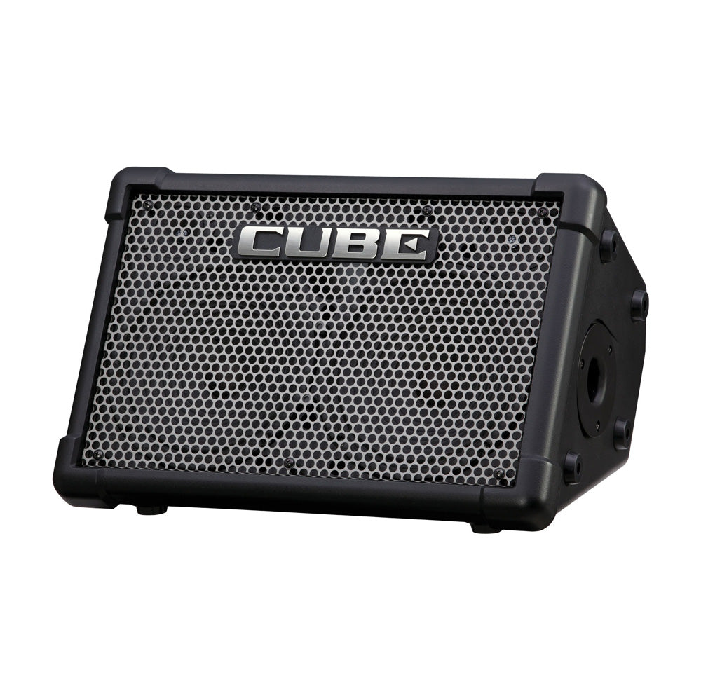 Roland CUBE Street EX Battery & AC Powered Amplifier – Bananas At