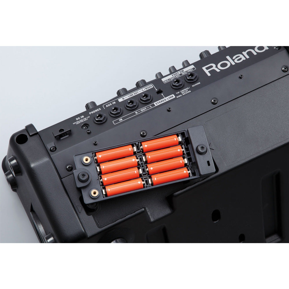 Roland CUBE Street EX Battery & AC Powered Amplifier - Bananas at Large®