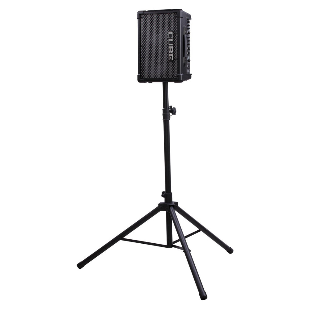Roland CUBE Street EX Battery & AC Powered Amplifier - Bananas at Large®