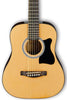 Ibanez IJV30 Jampack Acoustic Guitar Pack