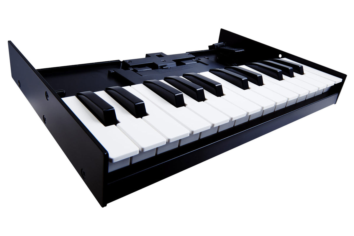 Roland K-25m Portable Keyboard for Roland Boutique Modules - Bananas at Large®