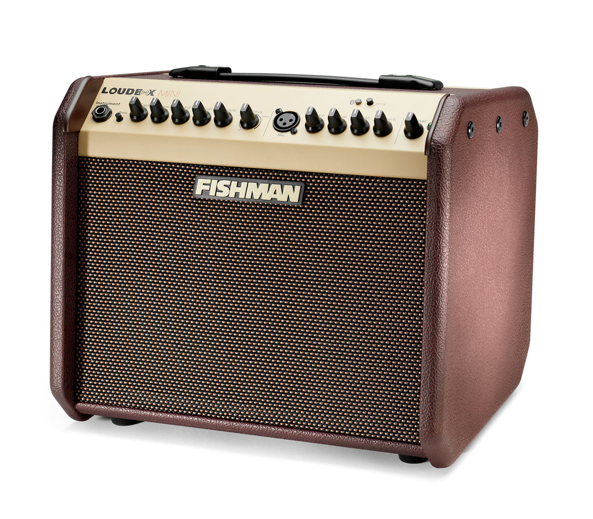 Fishman Loudbox Mini Combo Amplifier with Bluetooth, 60-Watts - Bananas at Large®