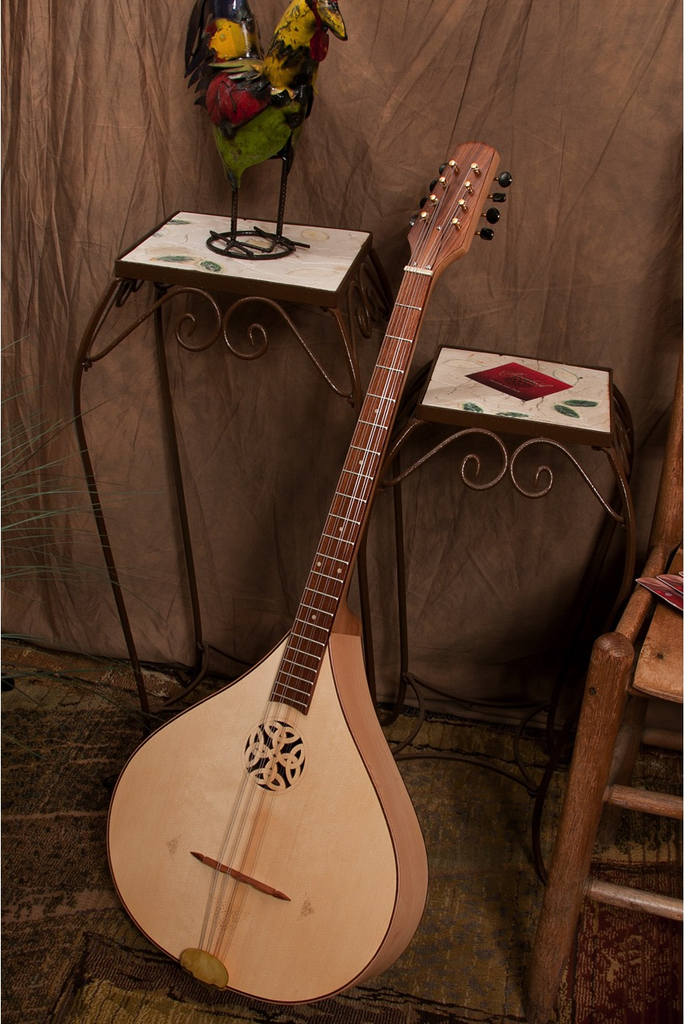 Roosebeck BZIRSN Deluxe Irish Bouzouki with Gig Bag Bananas at Large®