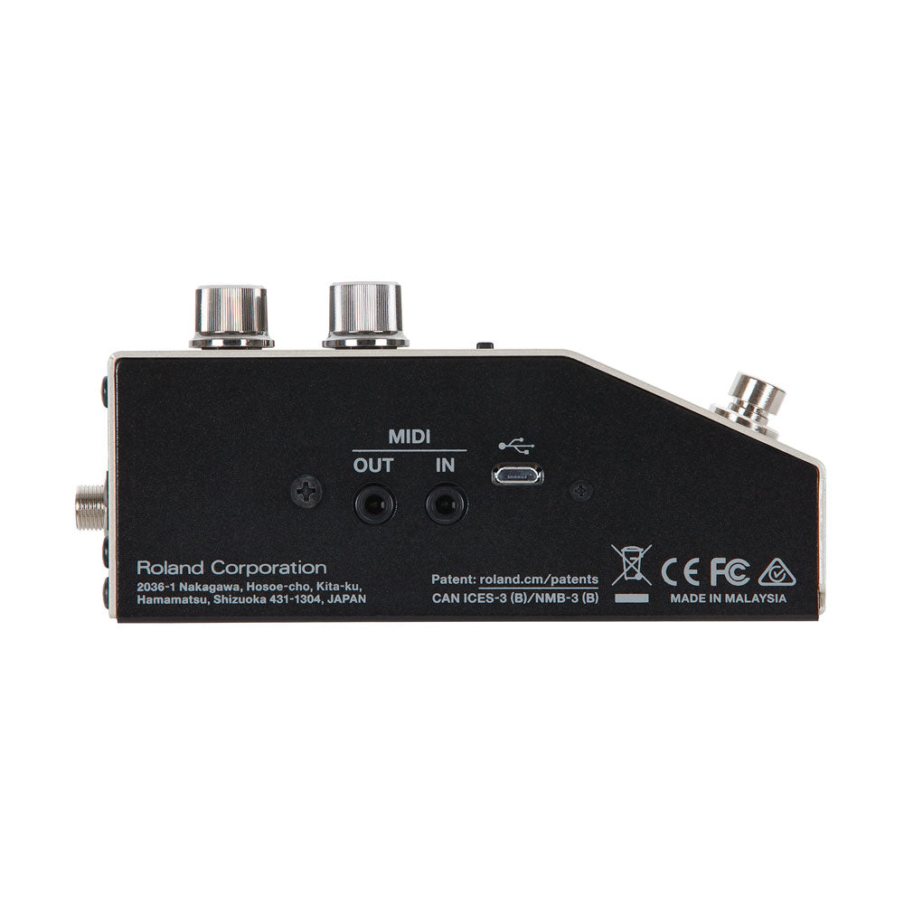 BOSS DD-200 Digital Delay Pedal – Bananas At Large Inc.® Musical Instruments & Pro Audio