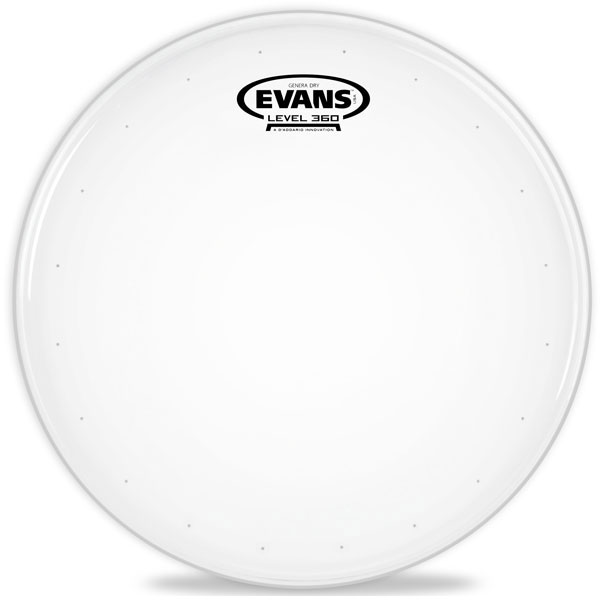 Evans B14DRY 14 in. Genera Dry Snare/Tom/Timbale Head - Bananas at Large - 1