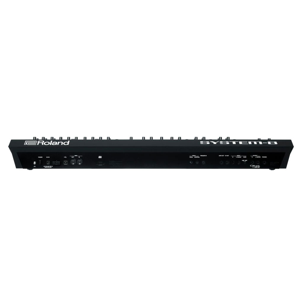Roland SYSTEM 8 Plug Out Synthesizer Bananas at Large Musical Instruments Pro Audio