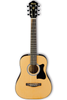 Ibanez IJV30 Jampack Acoustic Guitar Pack