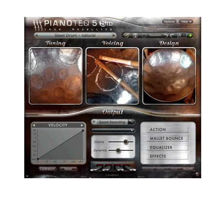 Pianoteq Steel Pans Add-On [Download] - Bananas at Large