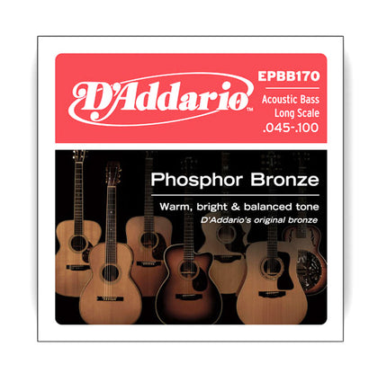 D'Addario Long Scale Phosphor Bronze Acoustic Bass Strings, 45-100