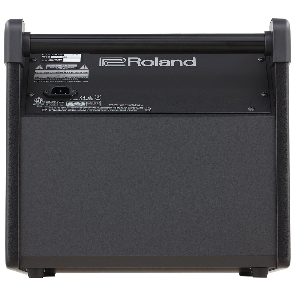 Roland PM-100 80-Watt V-Drum Personal Monitor – Bananas At Large