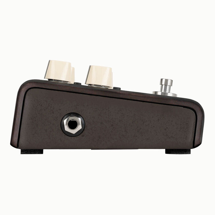 LR Baggs Align Series Delay Acoustic Guitar Delay Pedal