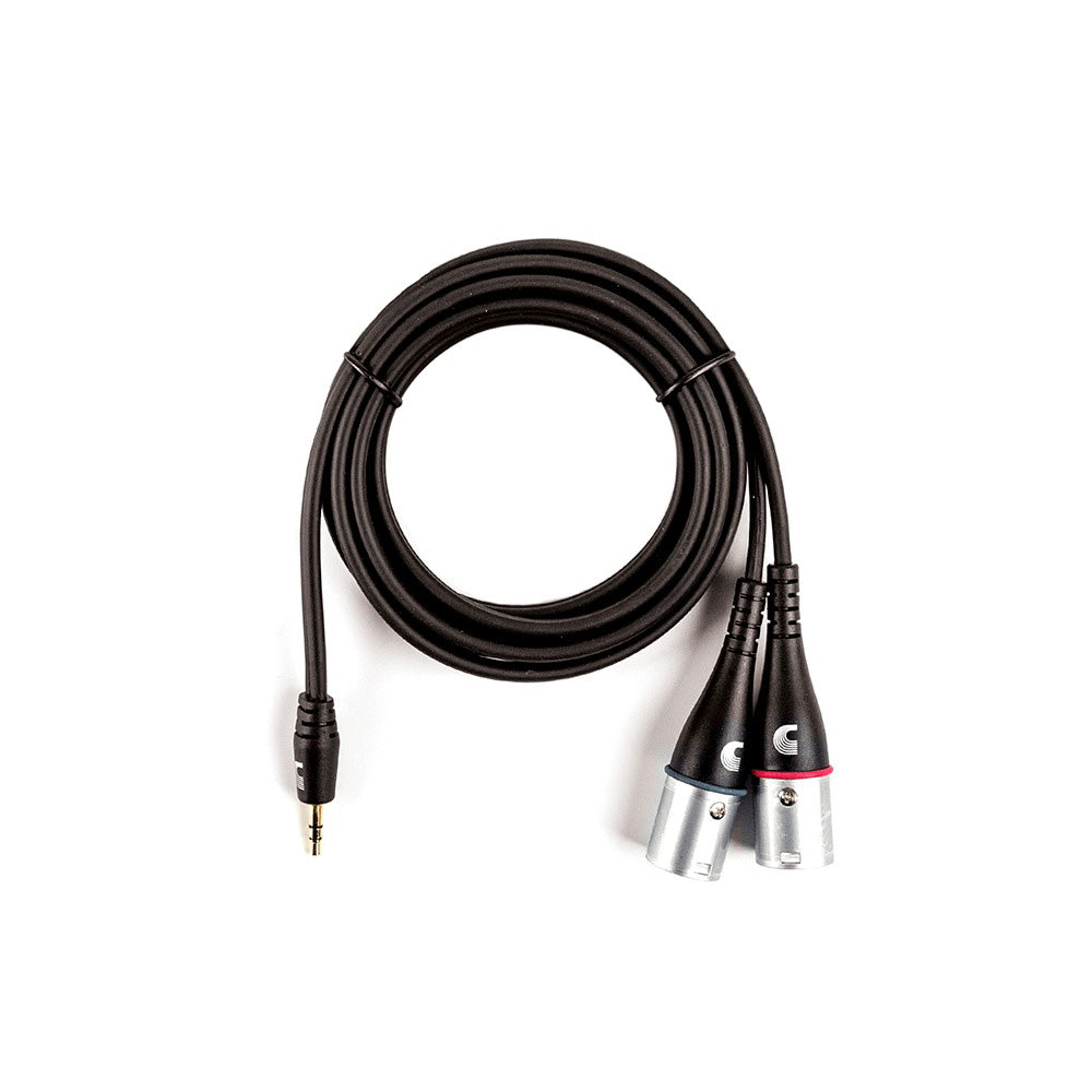 D'Addario 1/8 Inch To Dual XLR Audio Cable, 6ft