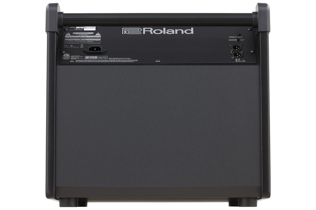 Roland PM-200 180 Watt V-Drum Personal Monitor – Bananas At Large