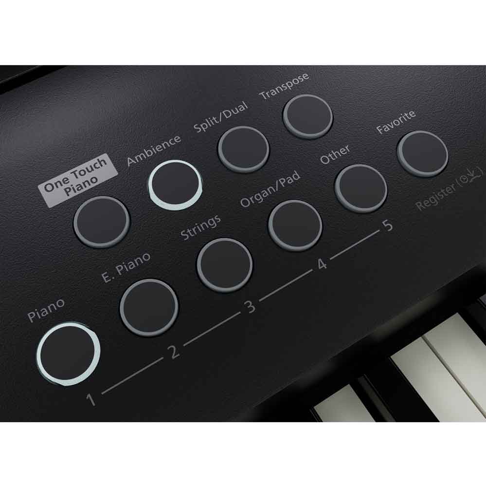 Roland FP-E50 Digital Piano with Pedal - Bananas at Large®
