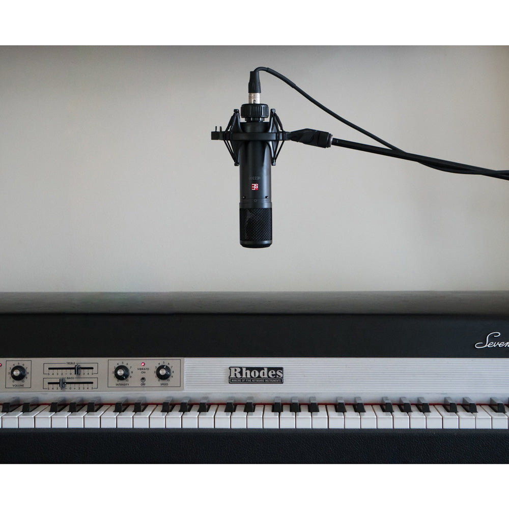 SE se2200 Large Diaphragm Condenser Mic Cardioid w/Shockmount and Filter